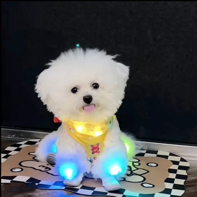 10 pcs Miniature Led Lights for Hand Craft/DIY, Dollhouse Light, Battery Powered - 10 Pack (Red)