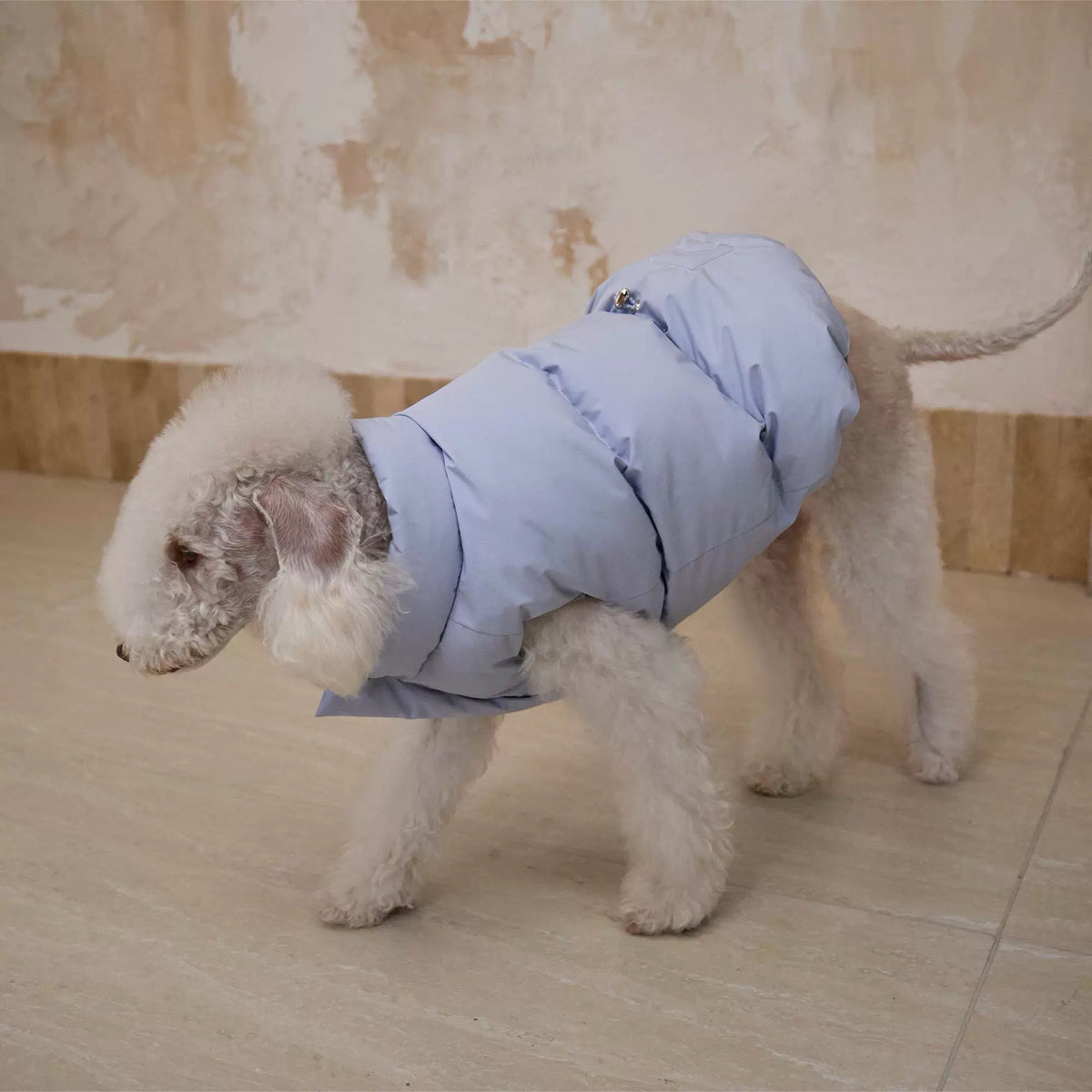 Reversible Dog Puffer Jacket - Blue & Silver Design