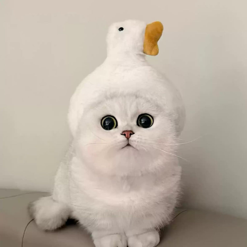 Cute Adjustable Fruit Cat Hat – Apple Costume for Cats & Small Dogs – Funny Pet Headwear for Halloween, Photoshoots, and Cosplay (Pink Pig,1 Signature Look + 2 Mystery Styles)