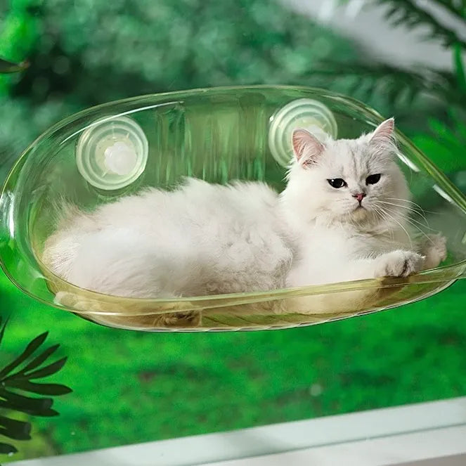 Cat Window Perch