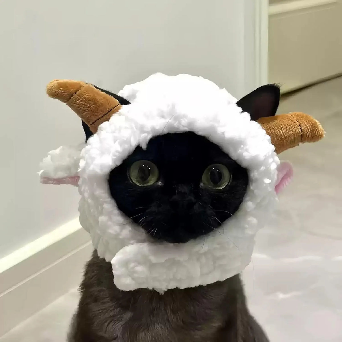 Cute Adjustable Fruit Cat Hat – Apple Costume for Cats & Small Dogs – Funny Pet Headwear for Halloween, Photoshoots, and Cosplay (Pink Pig,1 Signature Look + 2 Mystery Styles)