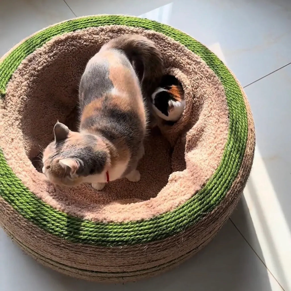 Cat Tunnel Bed for Indoor Cats, Cute Cat Donut Toy Tunnel for Small Large Cats