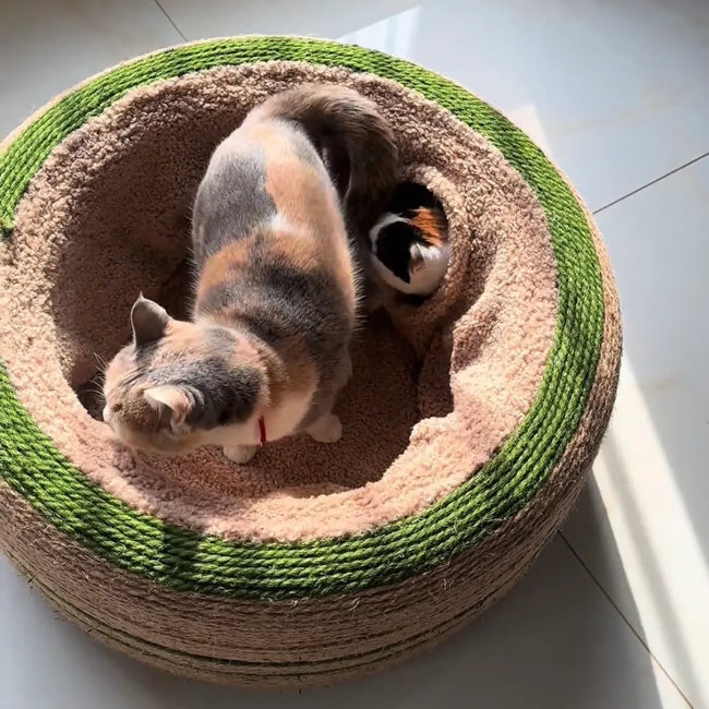 Cat Tunnel Bed for Indoor Cats, Cute Cat Donut Toy Tunnel for Small Large Cats