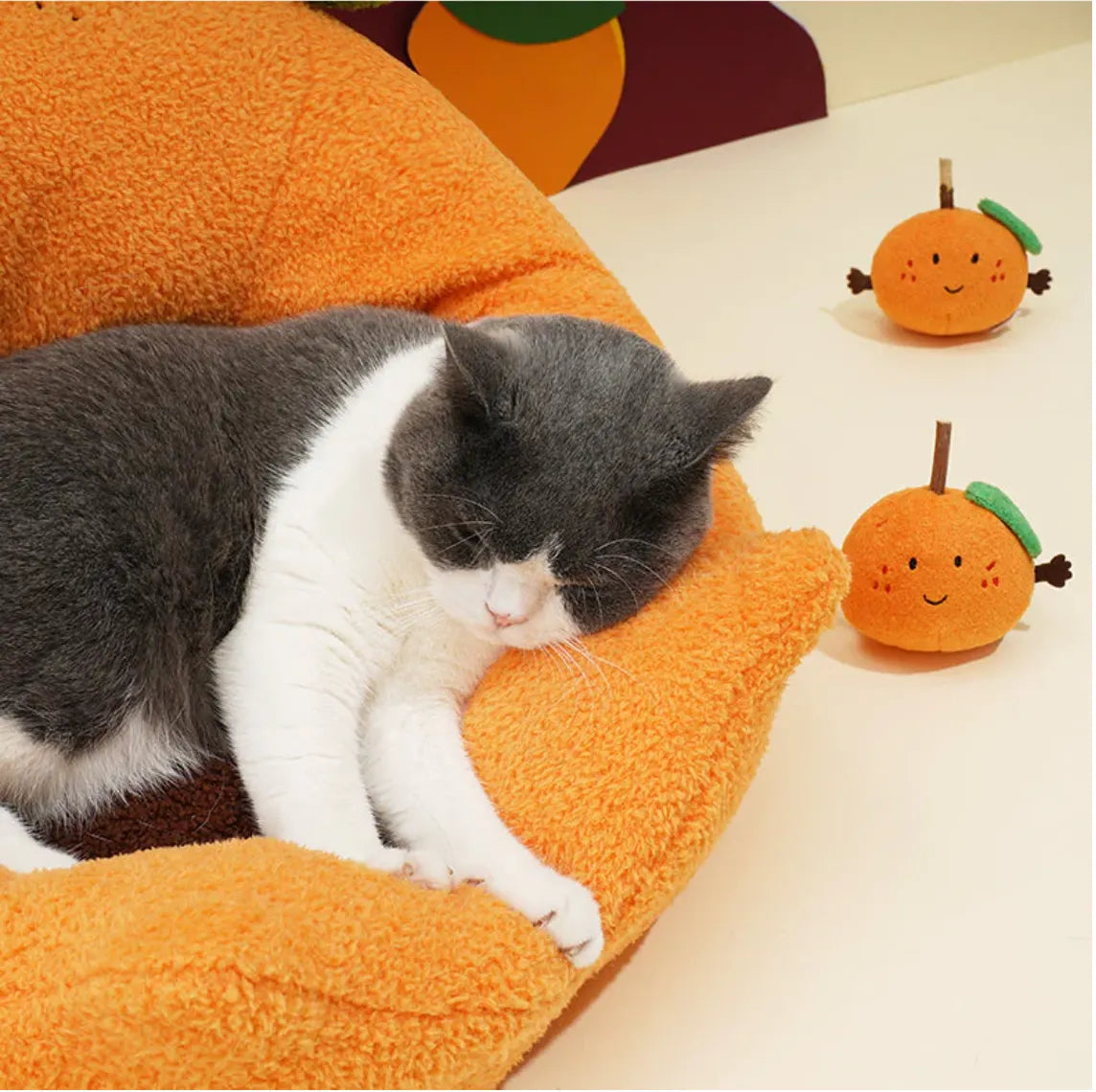 猫窝