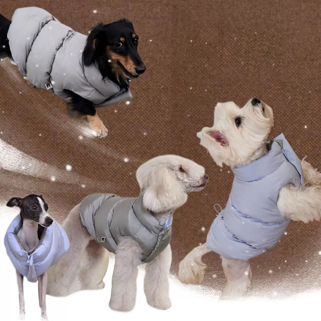 Reversible Dog Puffer Jacket - Blue & Silver Design