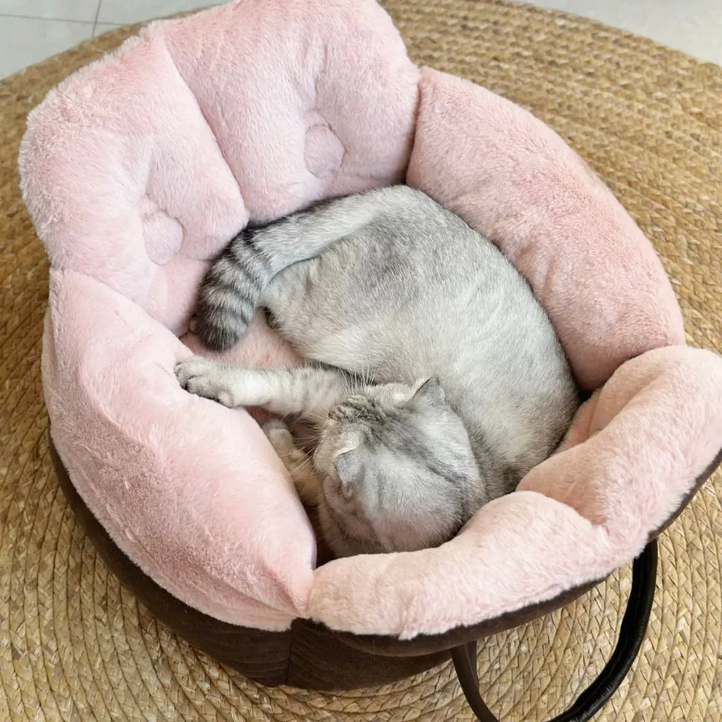 便携式猫床