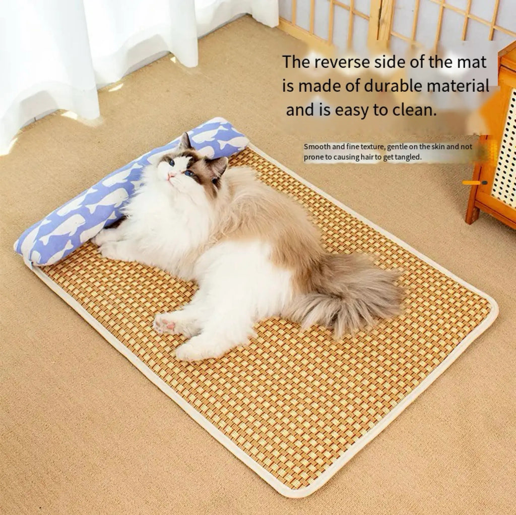 Double side rattan and water cat mat