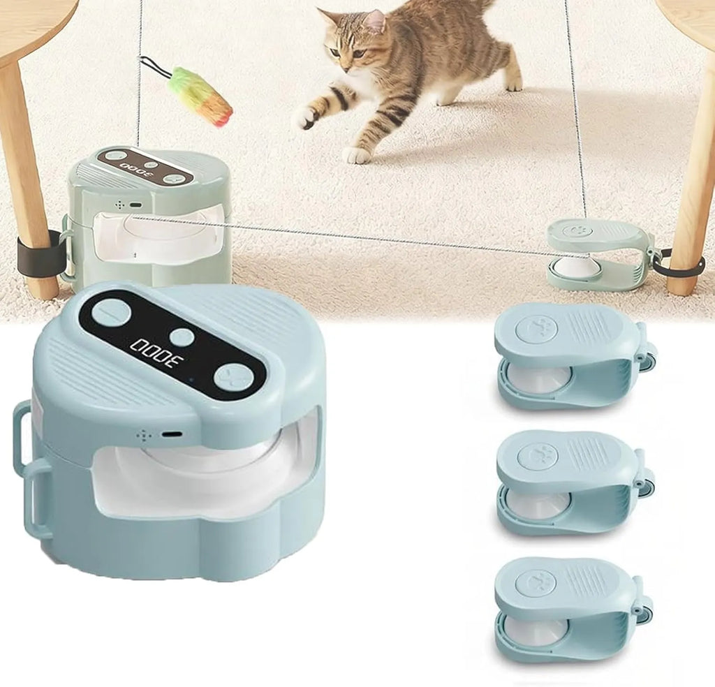 Electric Cat Teaser Toy with Remote Control