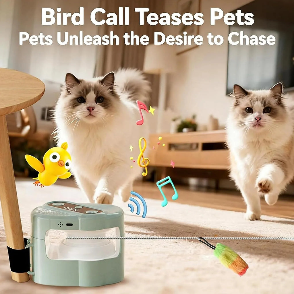 Electric Cat Teaser Toy with Remote Control