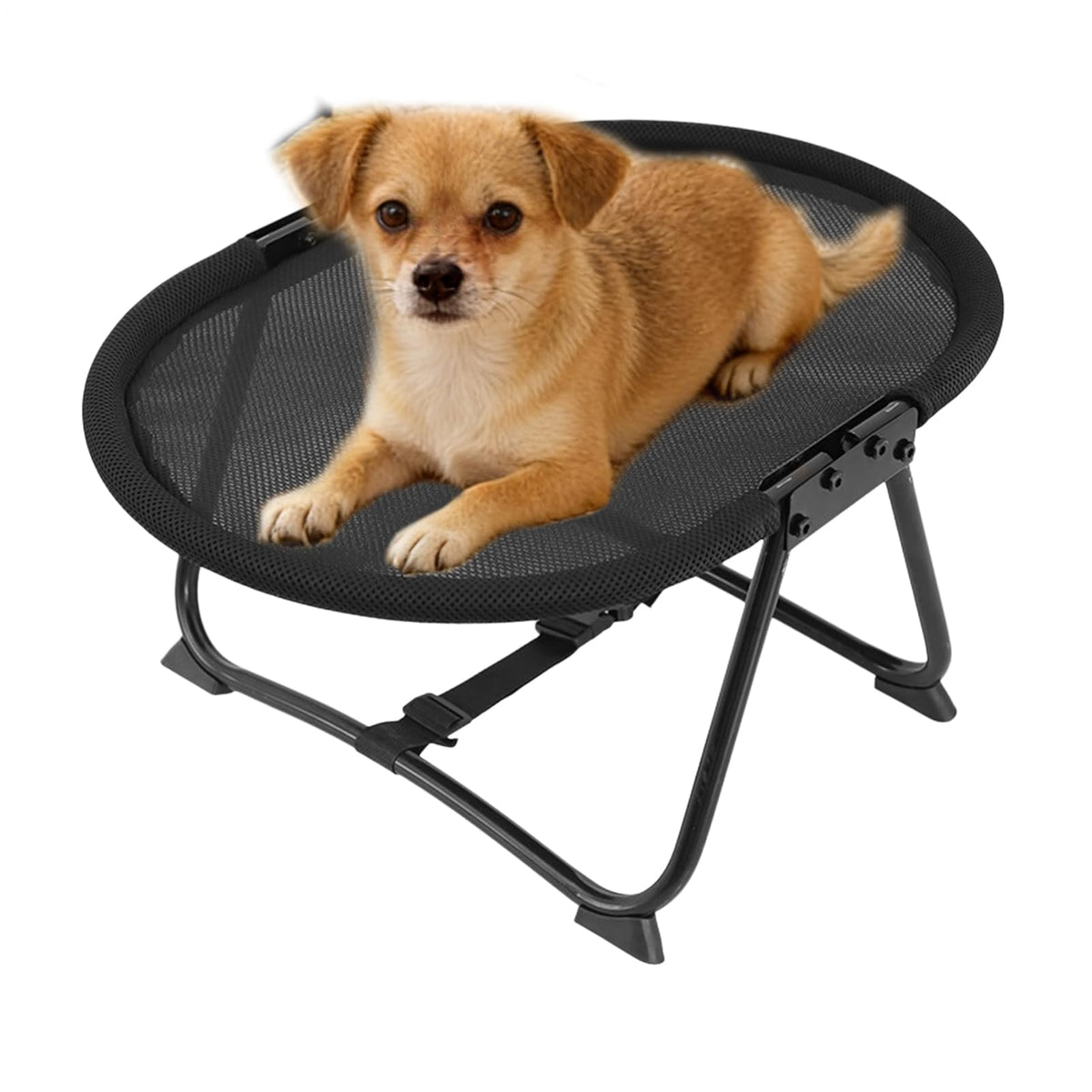 Elevated Pet Bed,Portable Breathable Non Slip Cot Hammock