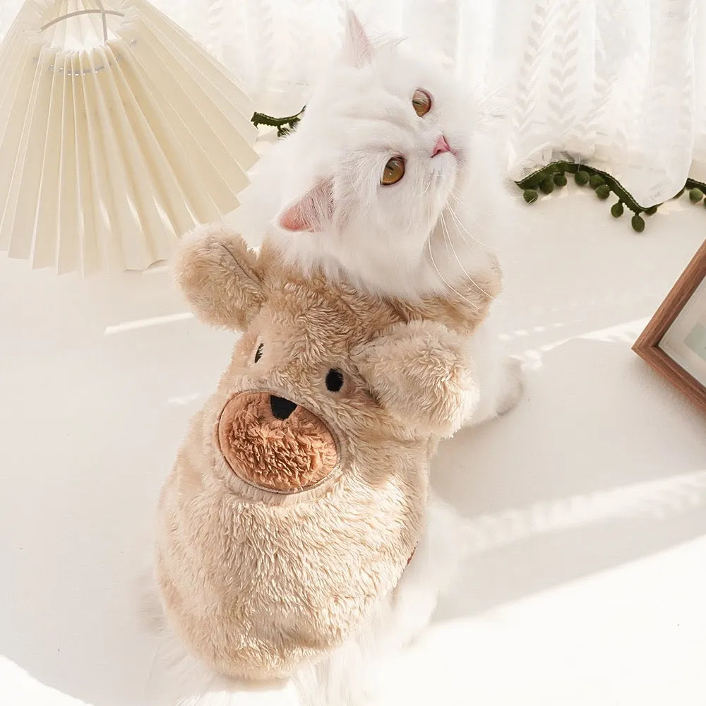 Clothes For Cat