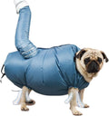 Pet Separate Circulation Room Drying Chassis Special for Cats and Dogs