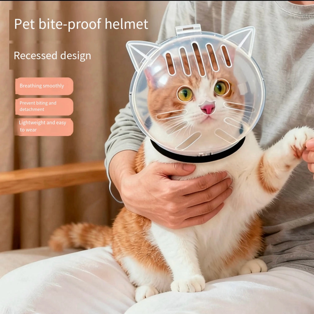 Cat Transparent Muzzle with Breathable Hood