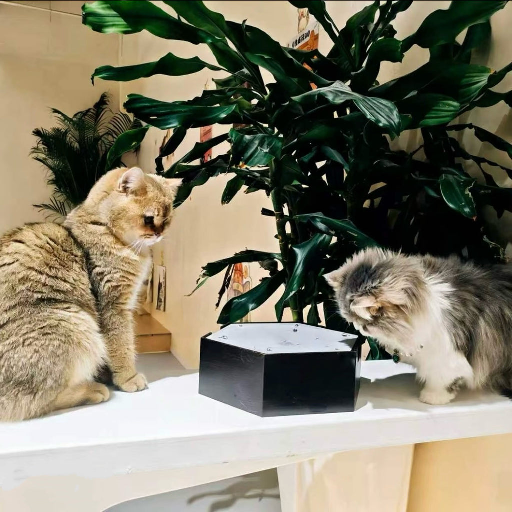 Interactive Water Drip Cat Toy Fountain