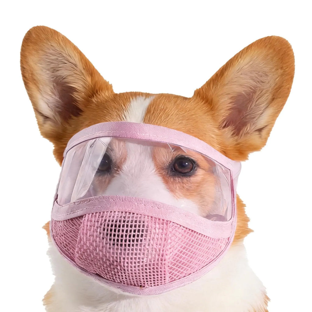 Cat Mouth Guard | Soft Mesh Headgear
