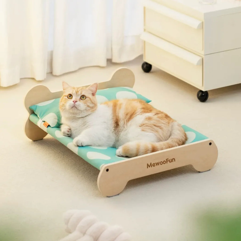 Cat bed