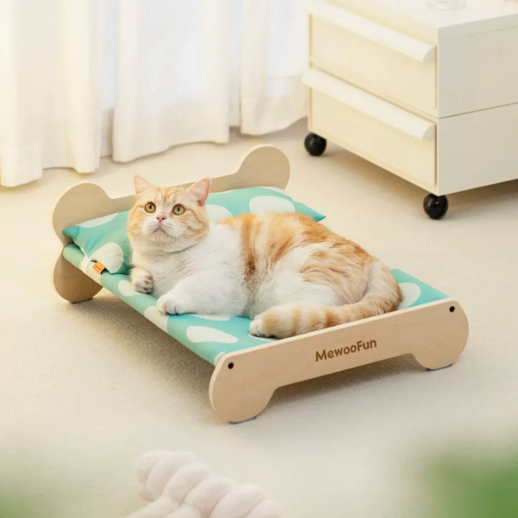 Cat bed