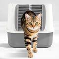 Cat Litter Box Hair Filter Door – Self-Grooming Brush Gate for Cats, Reduces Shedding & Floating Hair