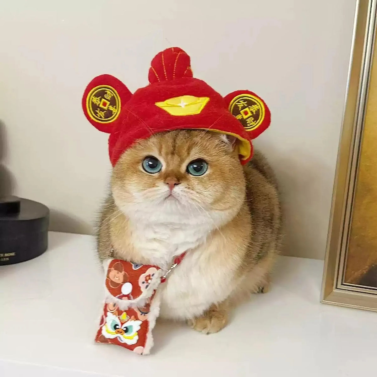 Cute Adjustable Fruit Cat Hat – Apple Costume for Cats & Small Dogs – Funny Pet Headwear for Halloween, Photoshoots, and Cosplay (Pink Pig,1 Signature Look + 2 Mystery Styles)