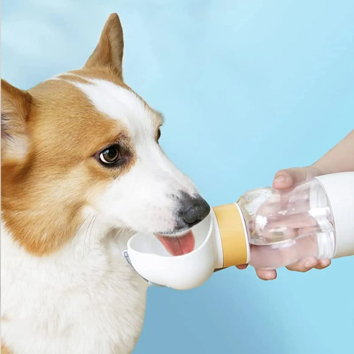 Pet Water Bottle 12oz+7oz