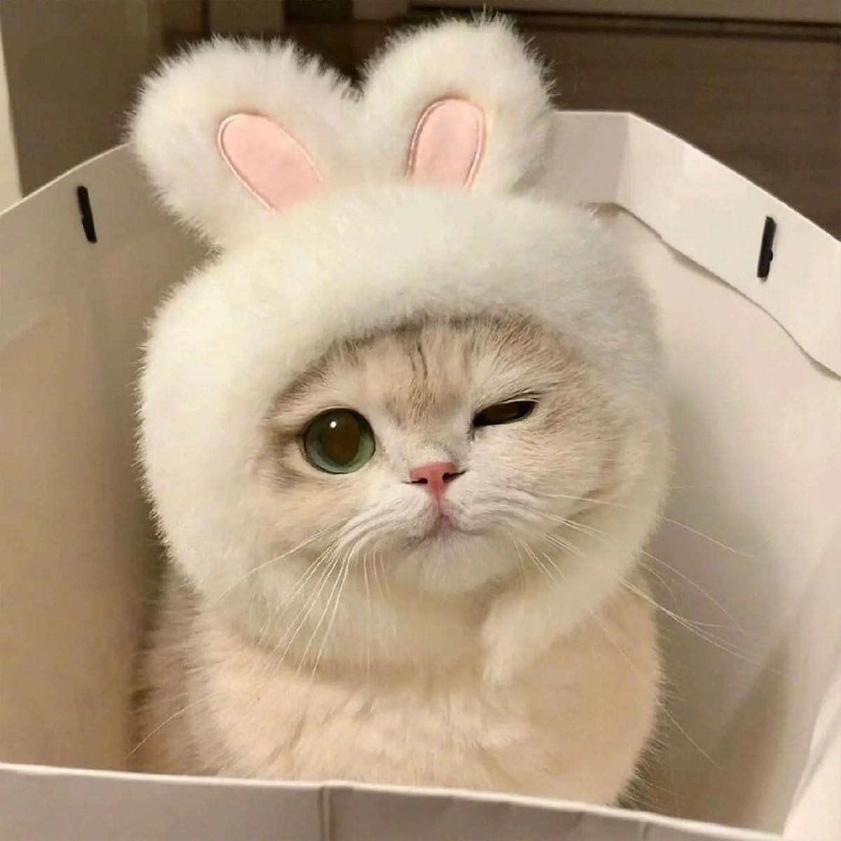 Cute Adjustable Fruit Cat Hat – Apple Costume for Cats & Small Dogs – Funny Pet Headwear for Halloween, Photoshoots, and Cosplay (Pink Pig,1 Signature Look + 2 Mystery Styles)