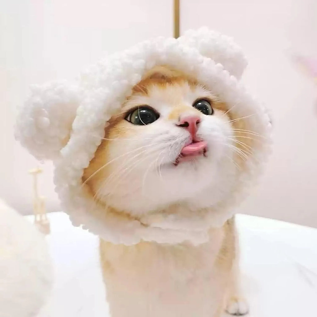 Cute Adjustable Fruit Cat Hat – Apple Costume for Cats & Small Dogs – Funny Pet Headwear for Halloween, Photoshoots, and Cosplay (Pink Pig,1 Signature Look + 2 Mystery Styles)