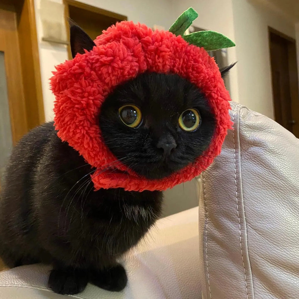 Cute Adjustable Fruit Cat Hat – Apple Costume for Cats & Small Dogs – Funny Pet Headwear for Halloween, Photoshoots, and Cosplay (Pink Pig,1 Signature Look + 2 Mystery Styles)
