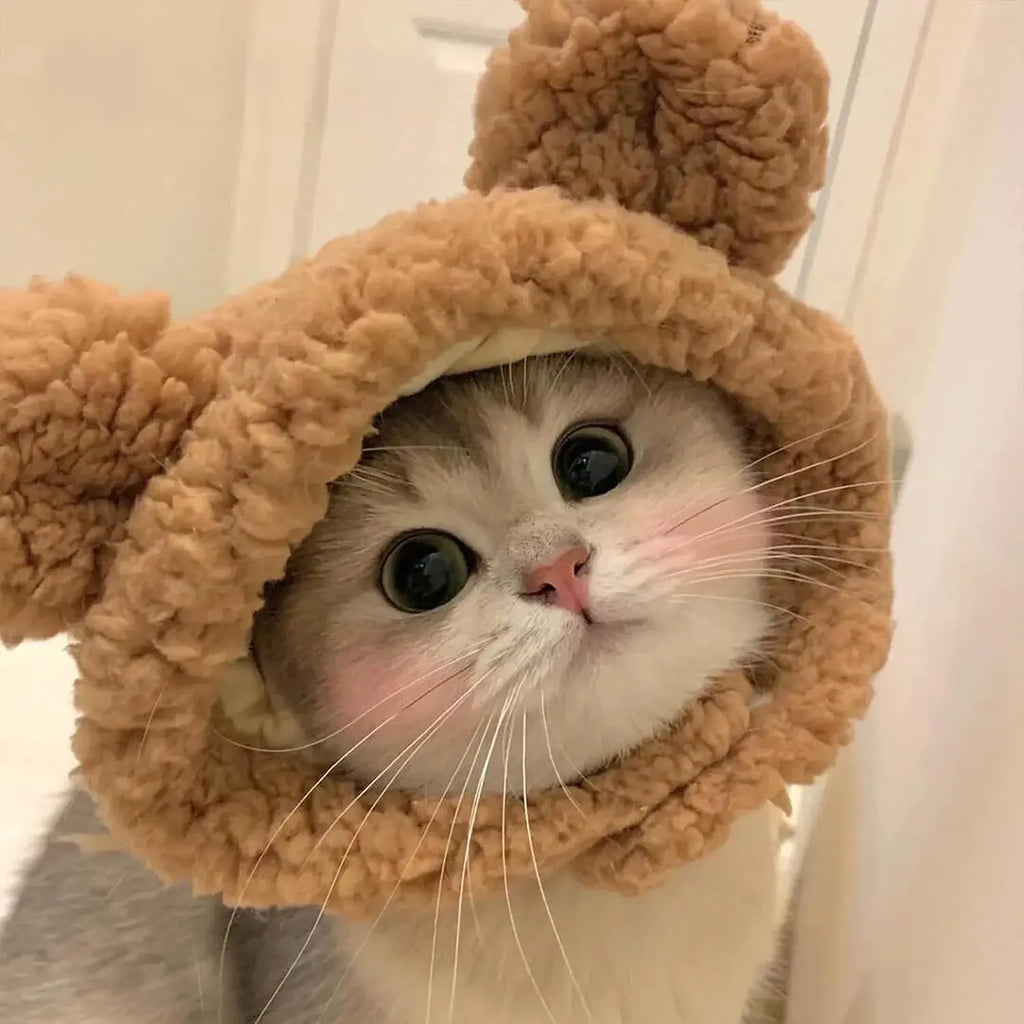 Cute Adjustable Fruit Cat Hat – Apple Costume for Cats & Small Dogs – Funny Pet Headwear for Halloween, Photoshoots, and Cosplay (Pink Pig,1 Signature Look + 2 Mystery Styles)