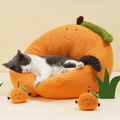 猫窝