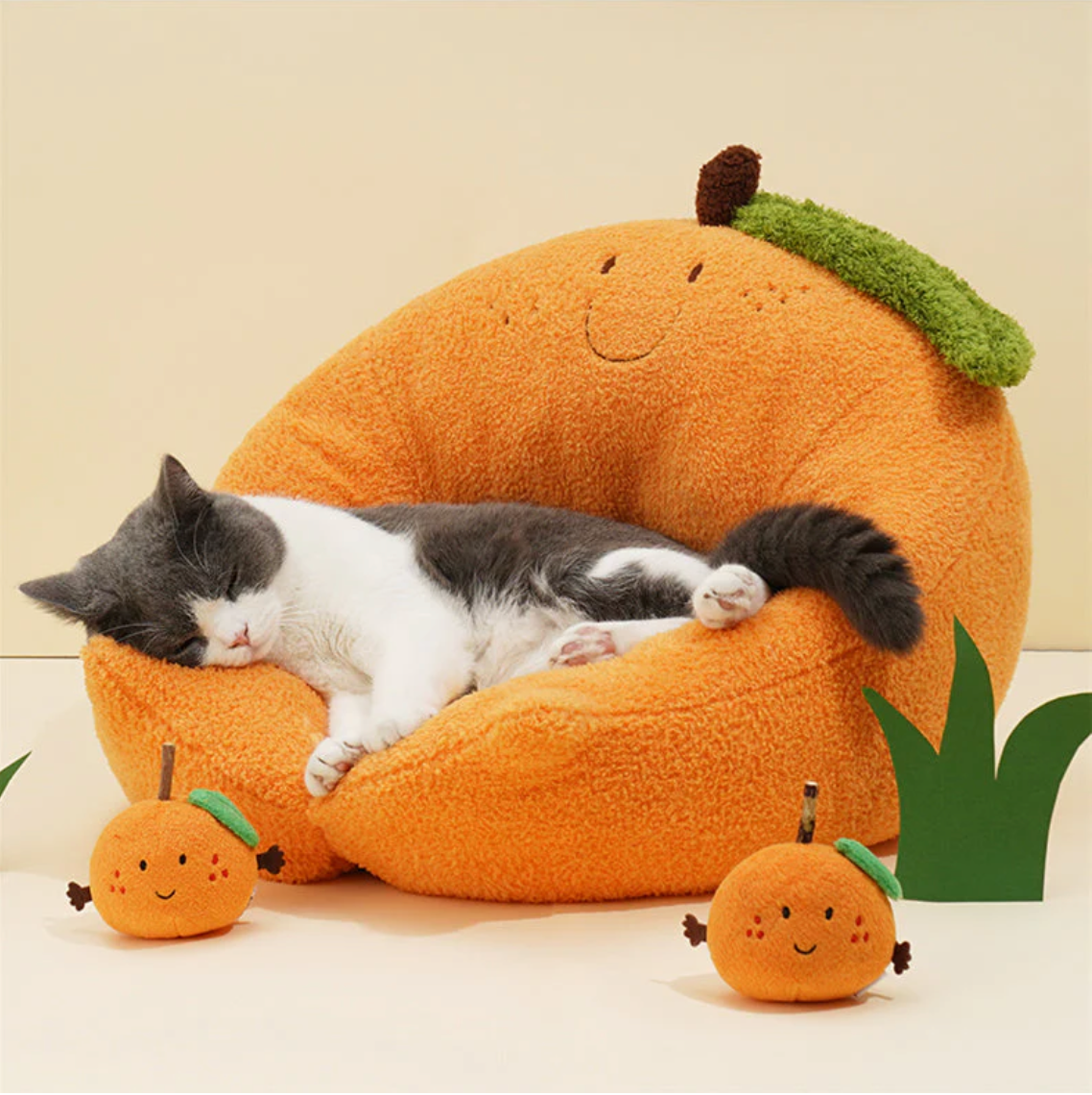 猫窝