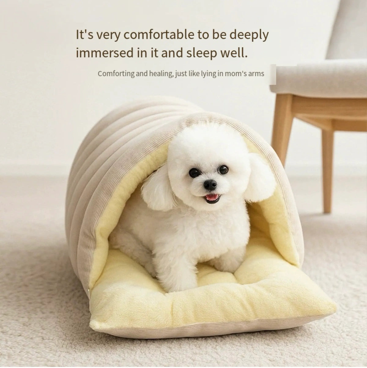 Indoor Cat Bed – Cave Style Cozy Hideaway with Removable Washable Cover & Anti‑Slip Base