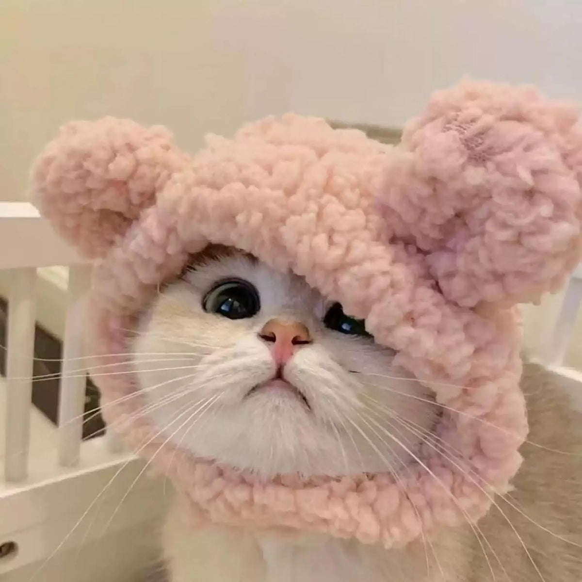 Cute Adjustable Fruit Cat Hat – Apple Costume for Cats & Small Dogs – Funny Pet Headwear for Halloween, Photoshoots, and Cosplay (Pink Pig,1 Signature Look + 2 Mystery Styles)