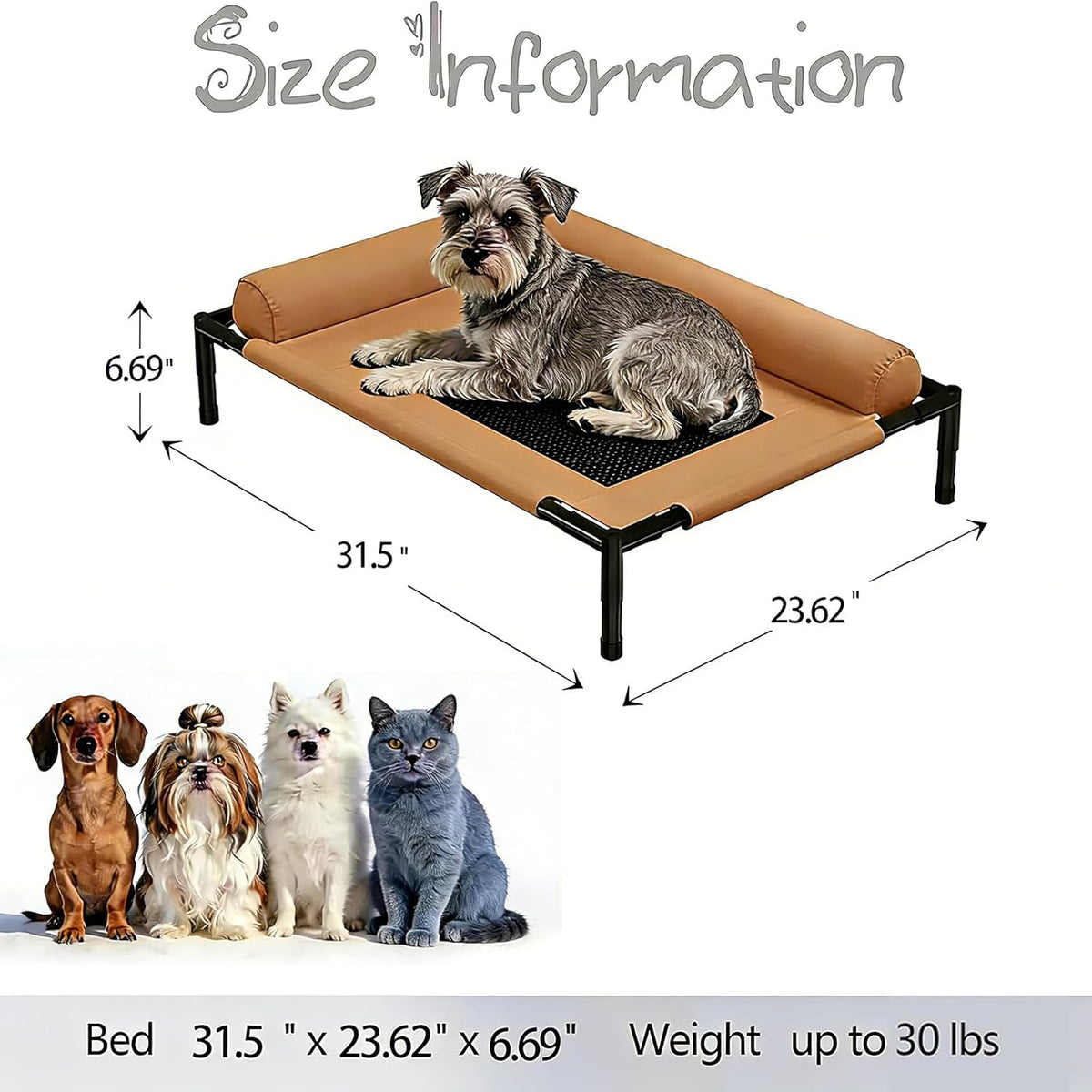 Elevated  Beds for Pet