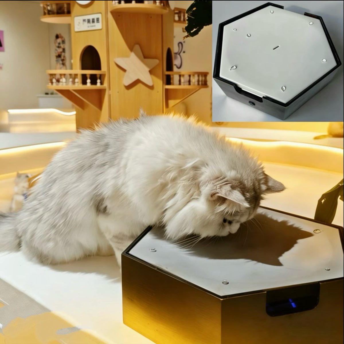 Interactive Water Drip Cat Toy Fountain