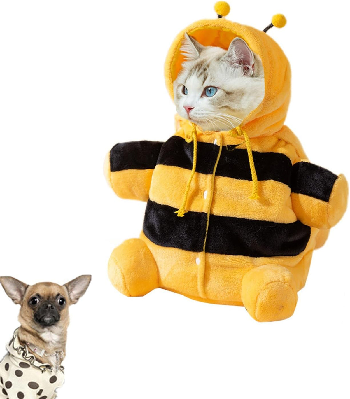 Pet Travel Bag Kit for Cat Dog Carrier & Travel