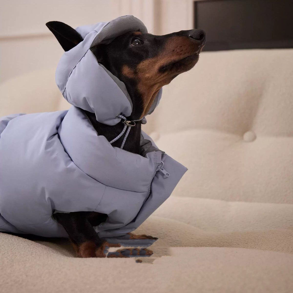 Reversible Dog Puffer down hat- Blue & Silver Design