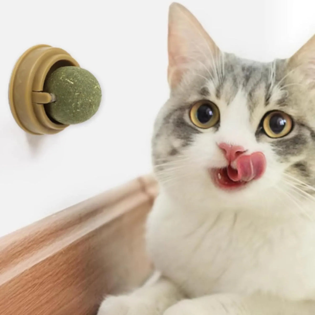 Catnip Ball Magic Cats Balls Cat Nip Balls