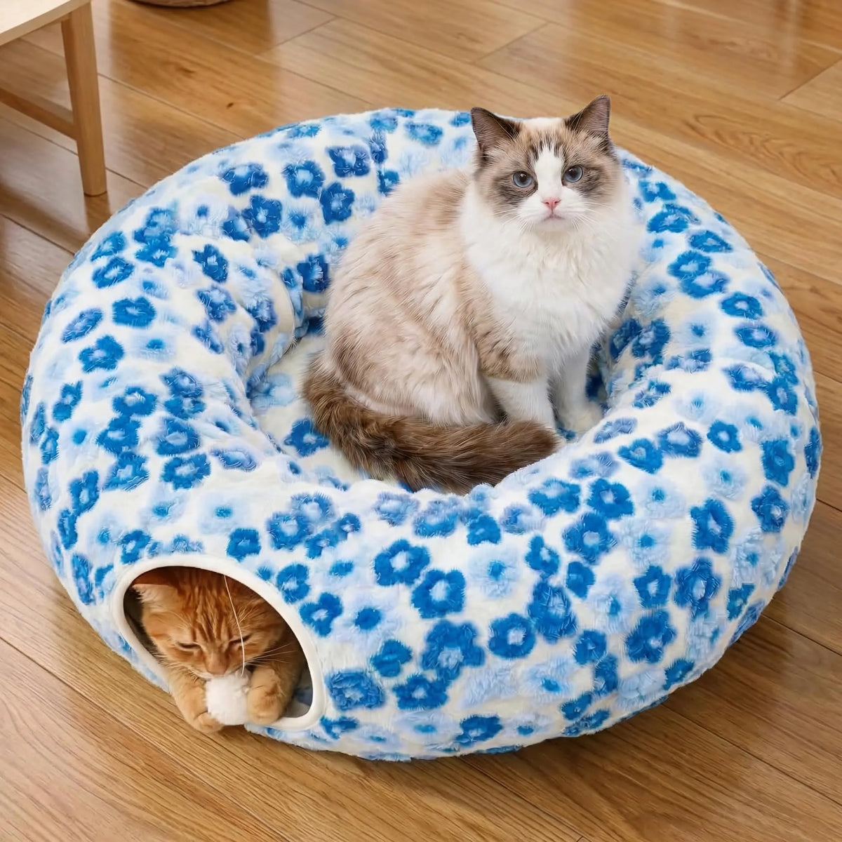 Indoor Cat Tunnel with Donut Bed - Large Flexible Play Space for Multiple Pets