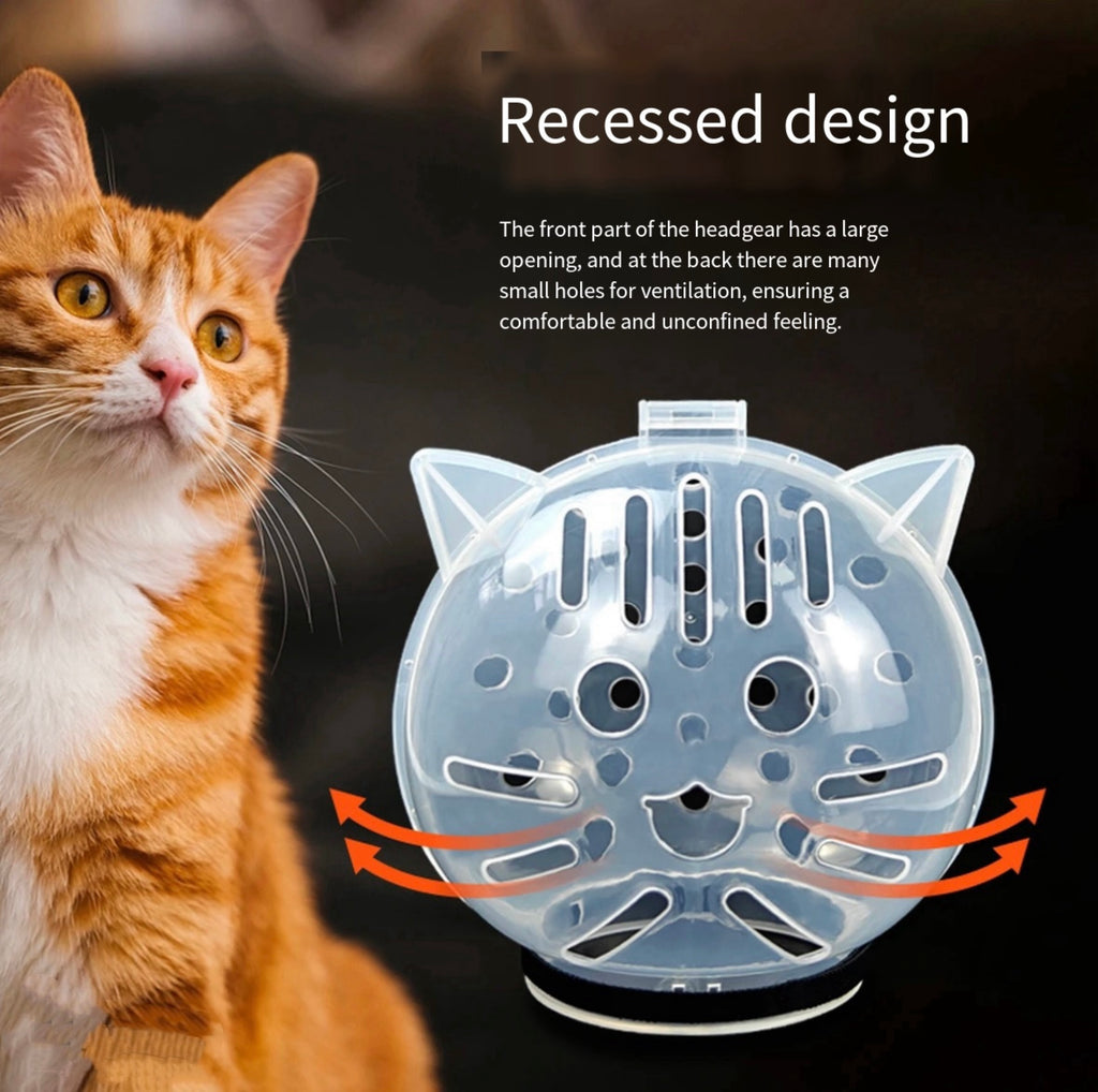 Cat Transparent Muzzle with Breathable Hood