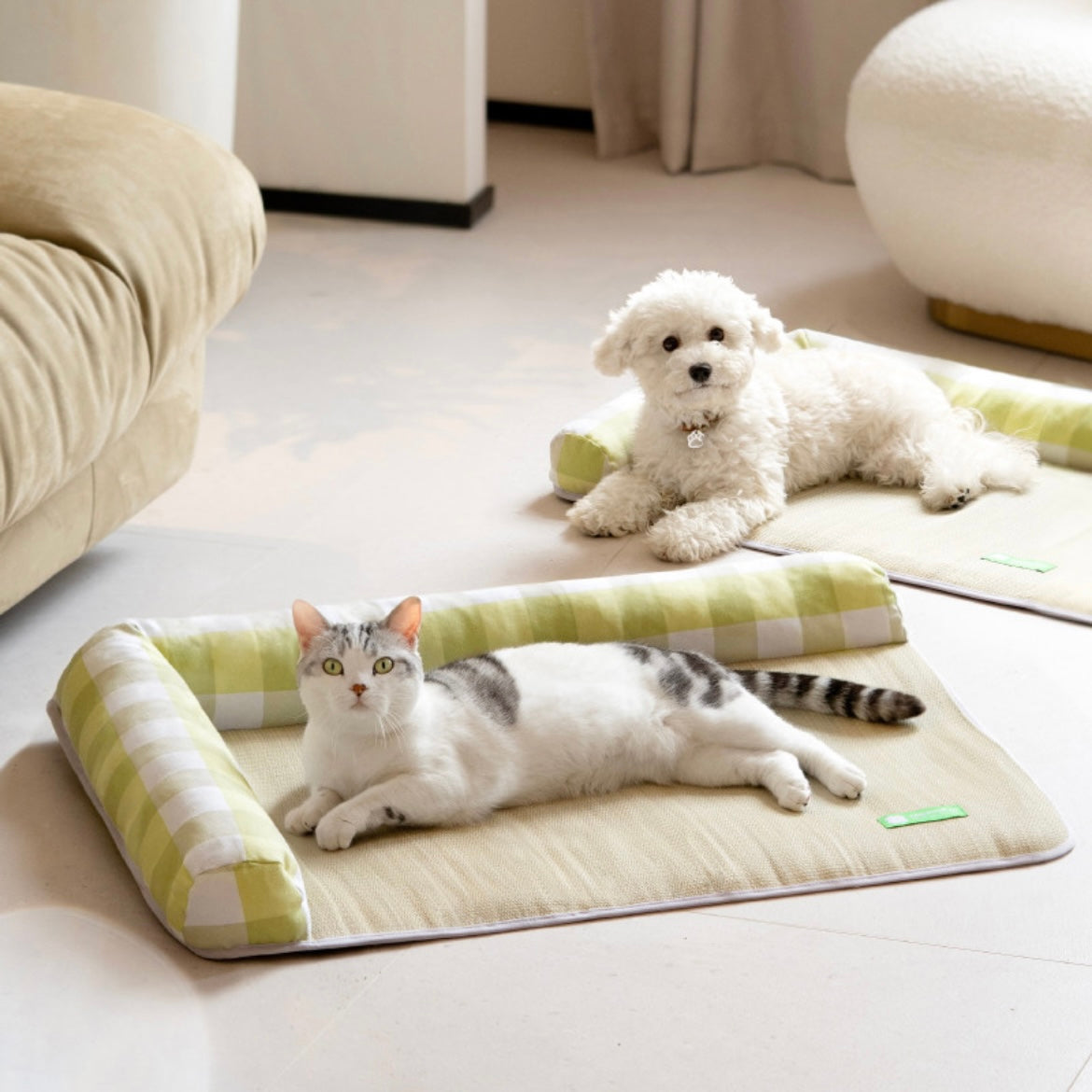 Pet Food