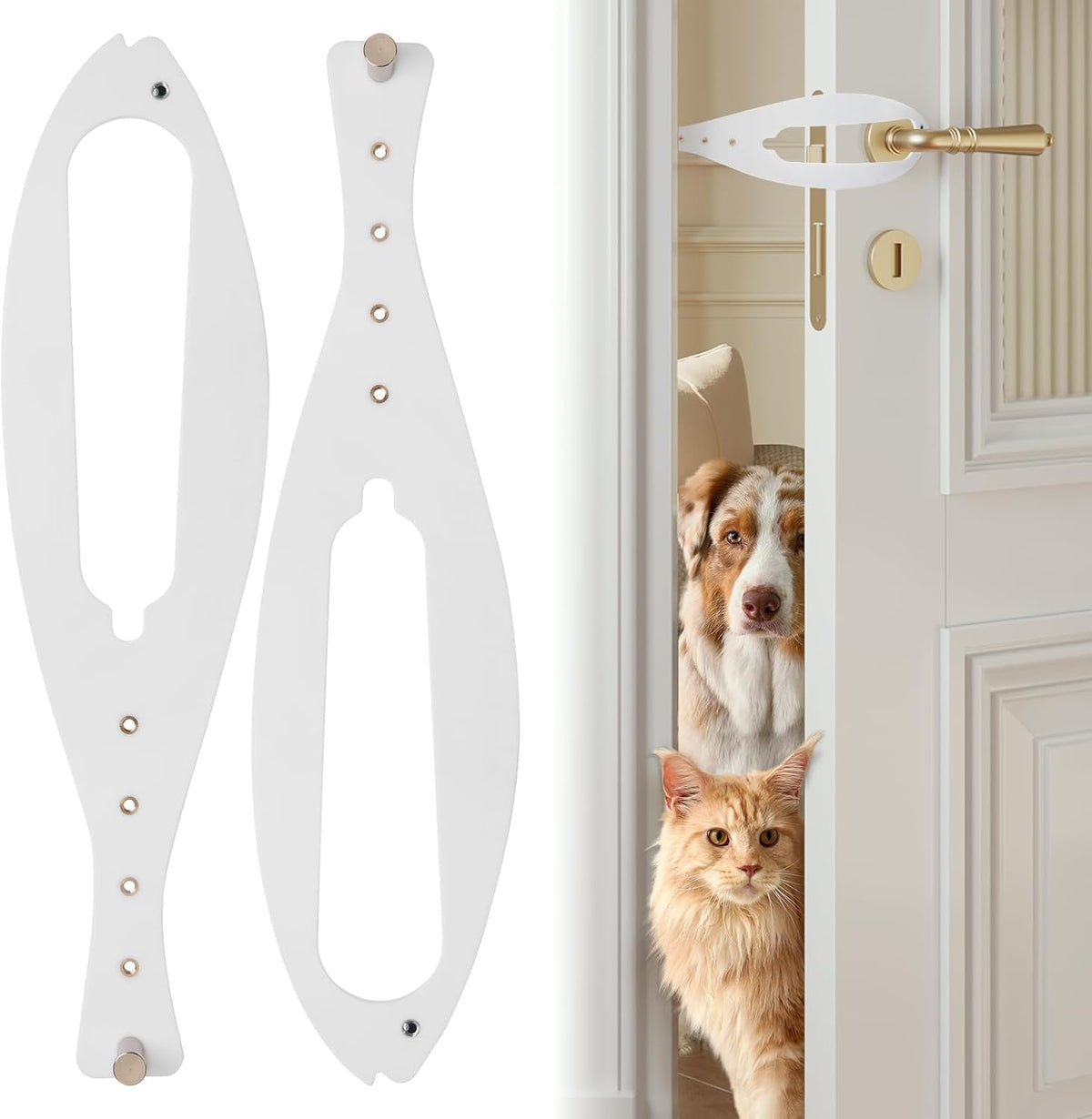 Cat Door Latch