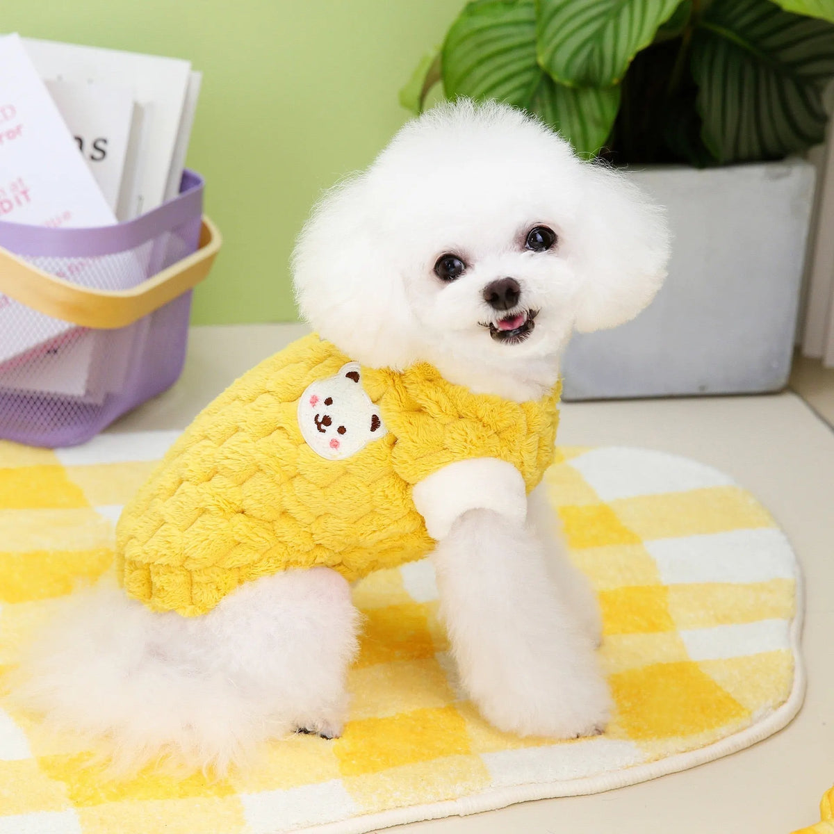 Clothes For Cat