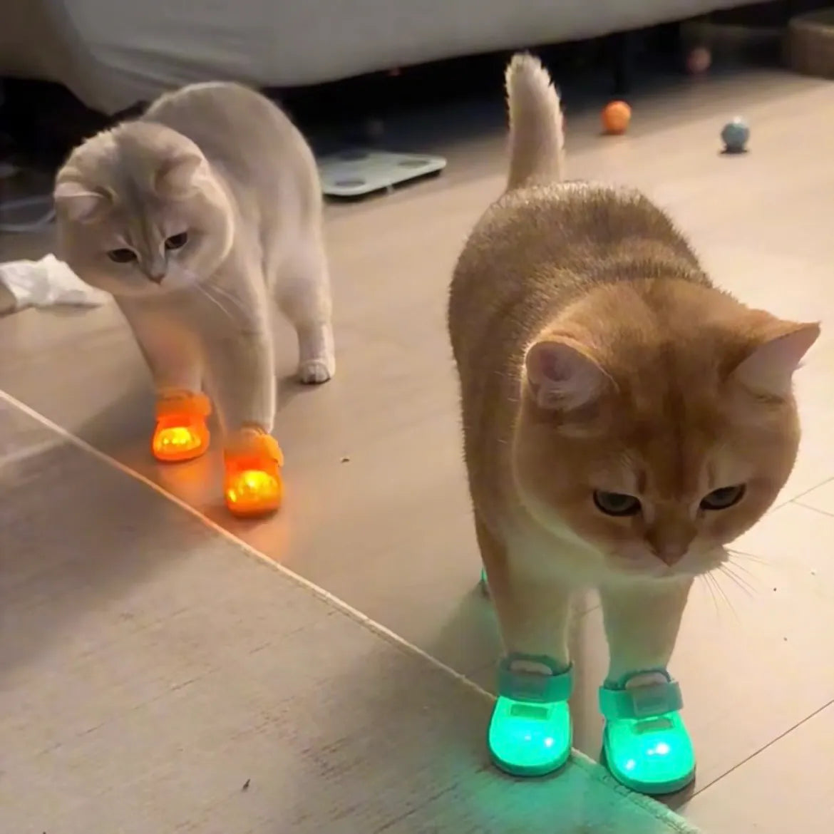 Pet  Cat Shoes for Hot Summer Pavement