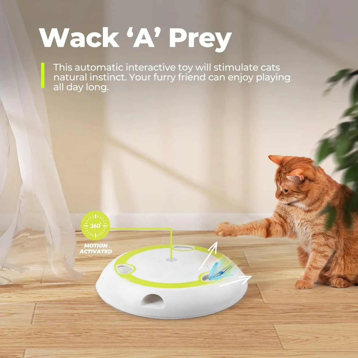Interactive Cat Toys with Automatic Feather Mice & No Touch Sensor Required