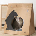 Cat Paper Nest