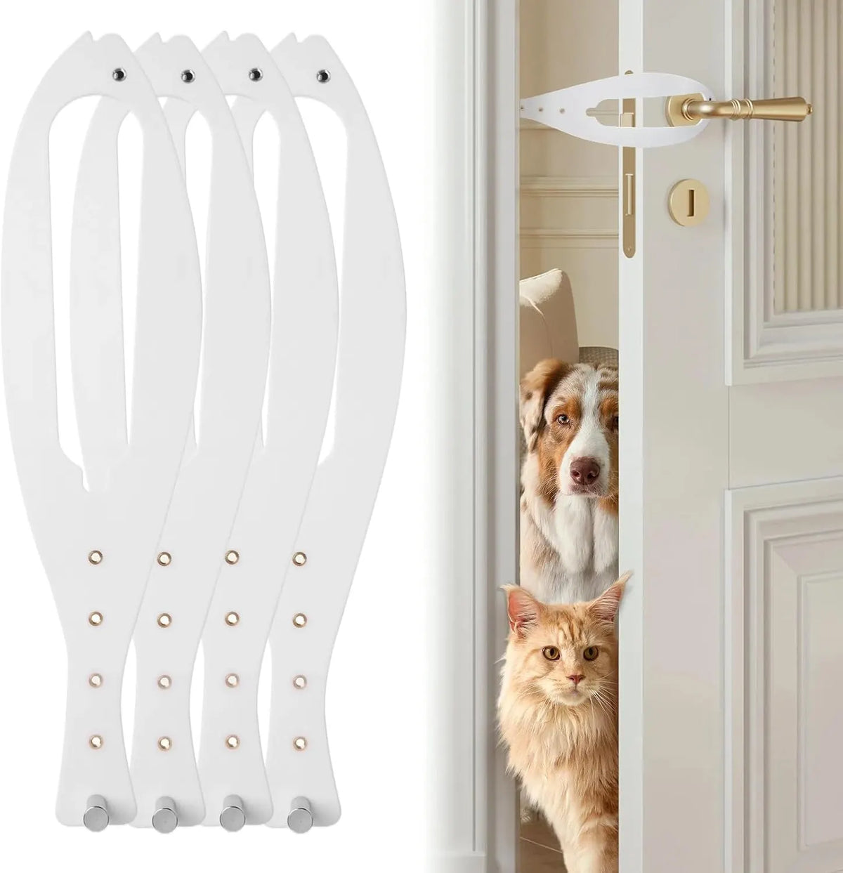 Cat Door Latch