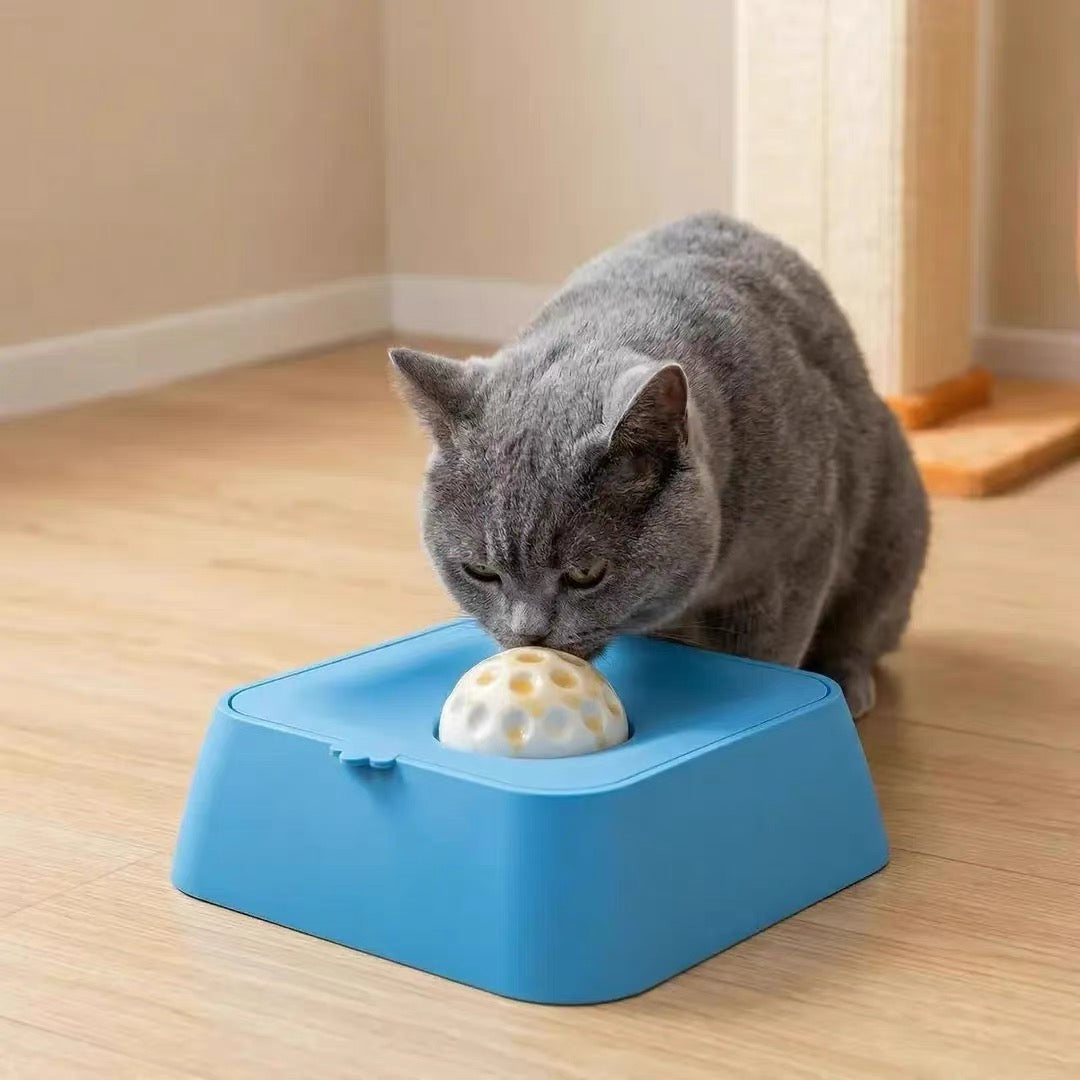 Slow Feed Liquid Pet Bowl